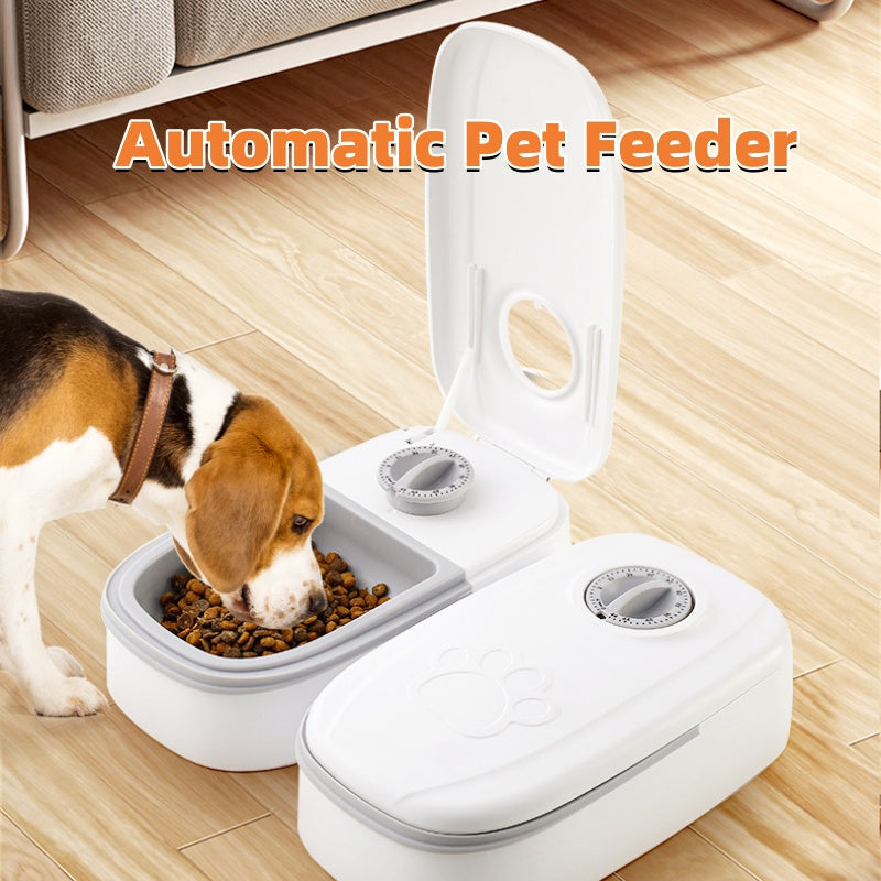 Automatic pet feeder with timer and stainless steel bowl for cats and dogs